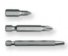 MERİDYEN 100 mm BİTS UÇ PH2 MANY. (10AD)