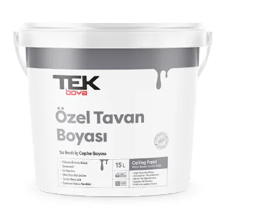 TEK TAVAN PLASTİK BOYA (BEYAZ) 3/1 (4)